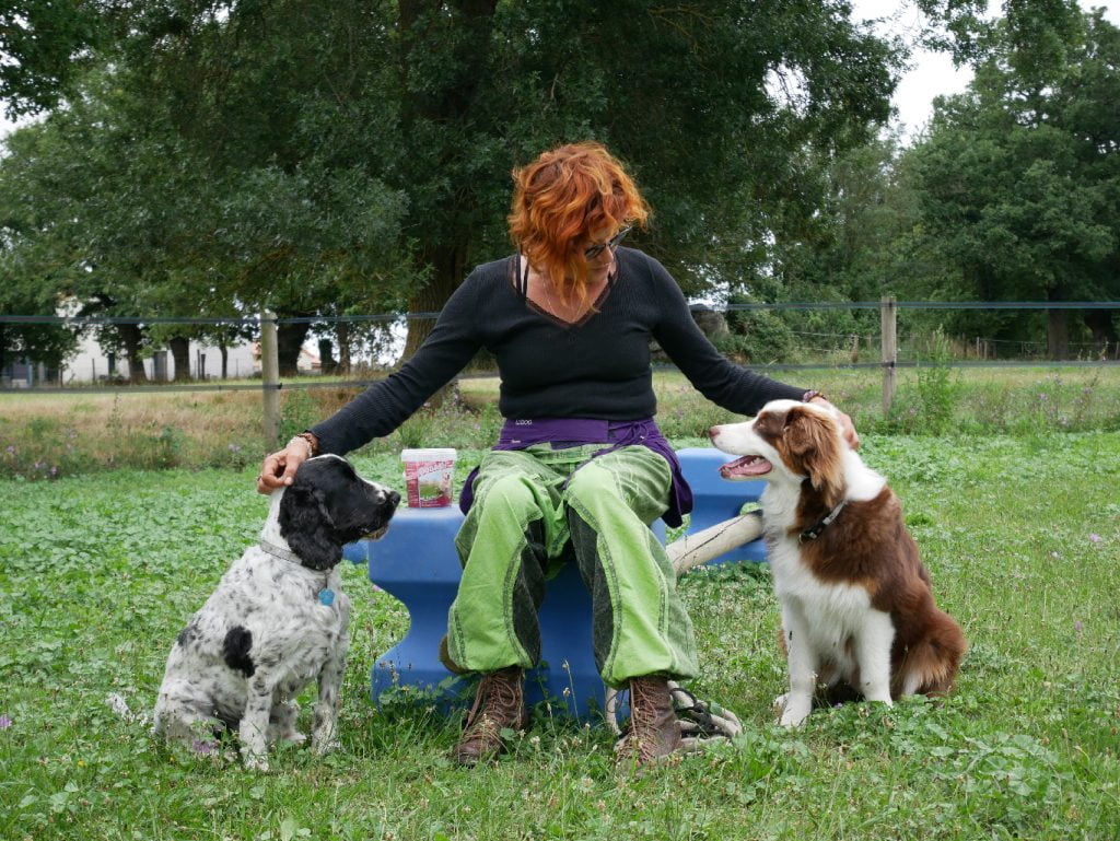 Présentation Médiation par l'Animal avec des chiens